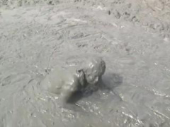 競泳水着のお姉さんが泥の中にダイブするフェチ動画! 天気も良くて普通に楽しそう